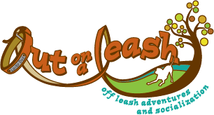 Out on a Leash - Serving Seattle's Eastside